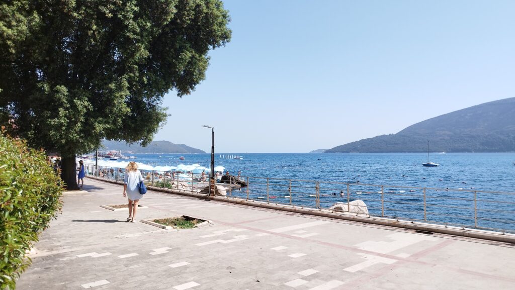 Herceg Novi Wind Rose